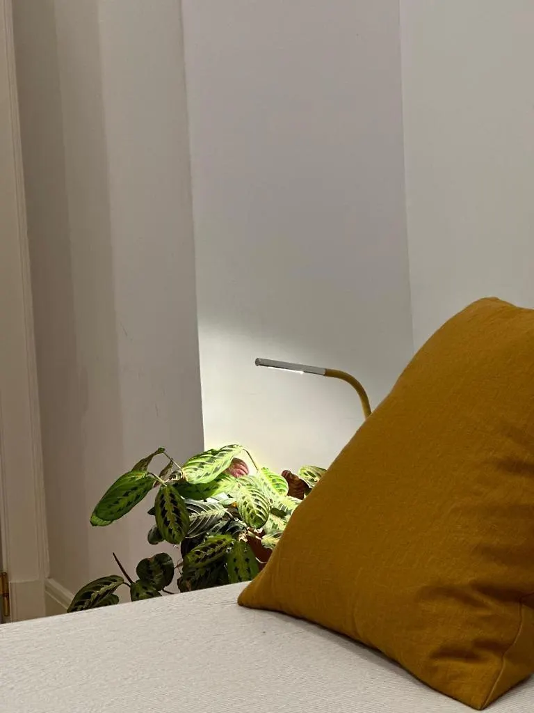 Апартаменты Apartamento Agradavel No Centro Historico De Lisboa
